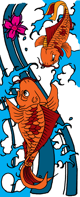 Koi